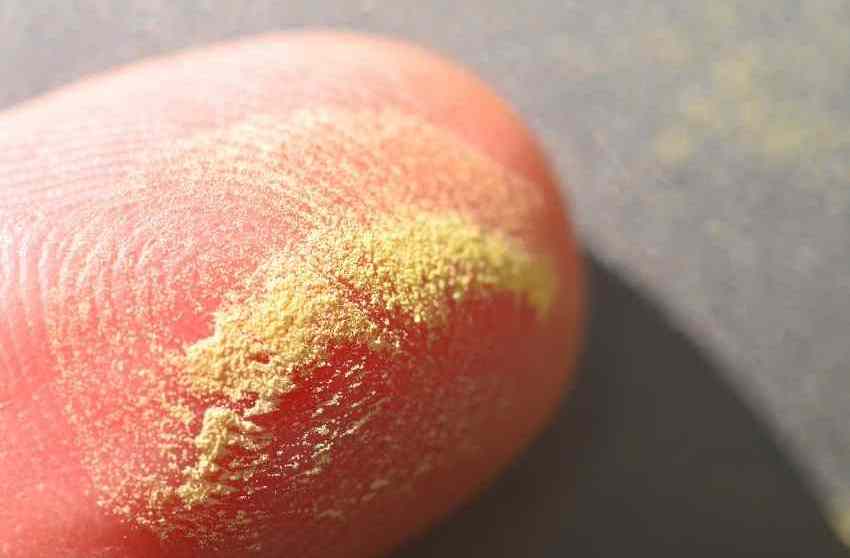Pine Pollen vs. Other Superfoods: How Does It Compare?