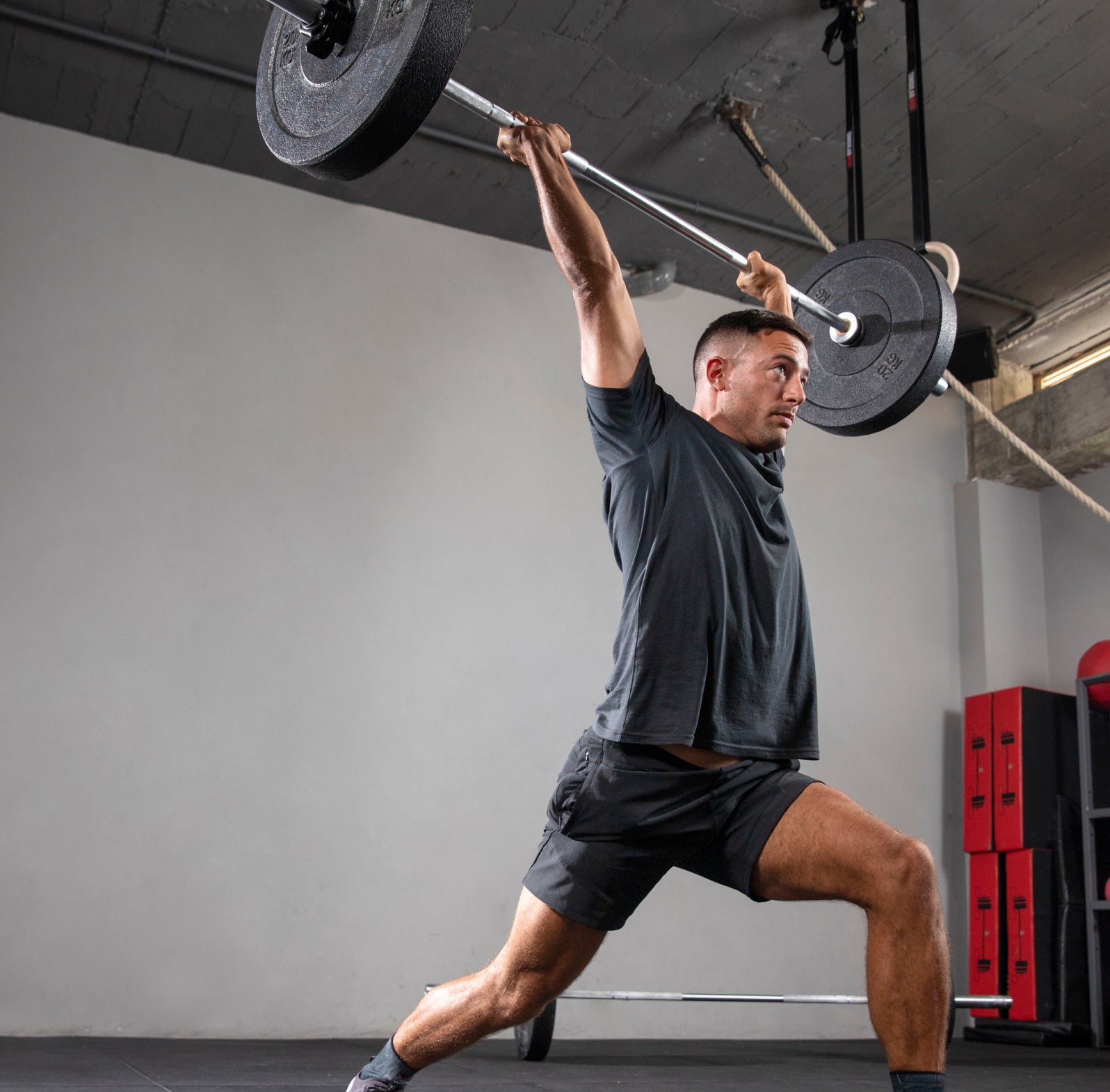 Muscle repair and regeneration