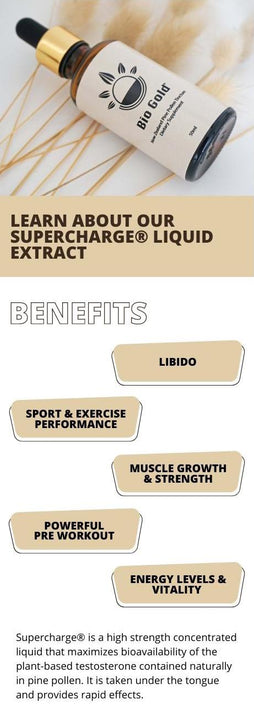 Pine Pollen Supercharge® Liquid Extract (Regular)